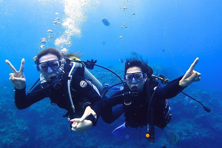Blue Cave Boat Dive Experience Tour com Guia Privado