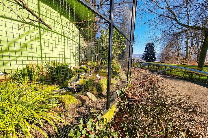 Private Hörbuch Stadtrallye rund um den Zürichsee in Zürich