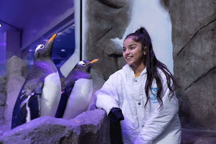 Dubai Aquarium & Underwater Zoo
