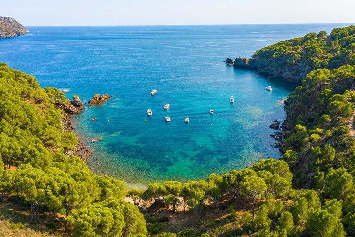 Fra Roses: Cala Murtra: En ubådsverden (Ny gratis audioguide)