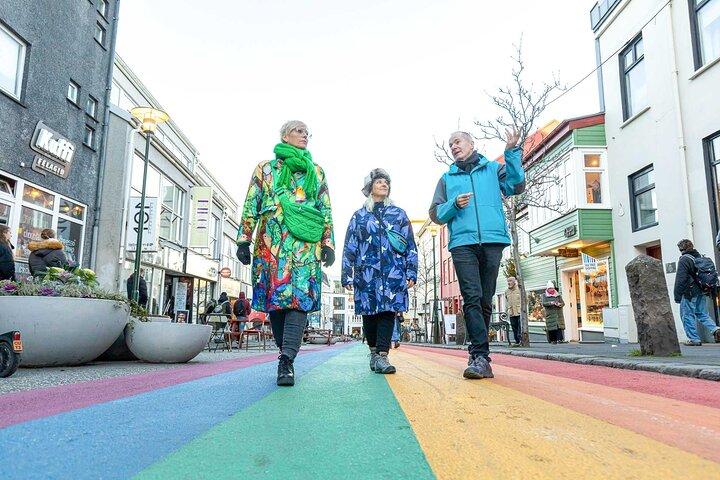 Privat Reykjavik Art Walking Tour
