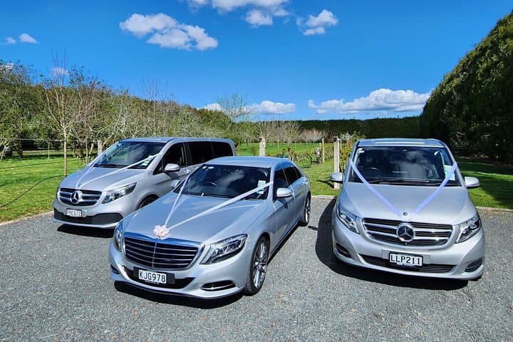 Private Luxury Sedan Transfer Auckland Airport To Auckland Hotel