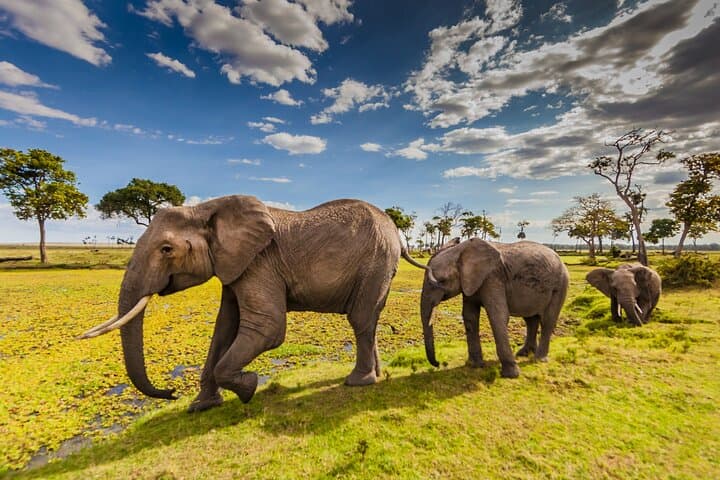 6 Days in Great Lakes of Kenya and Masai Mara Safari