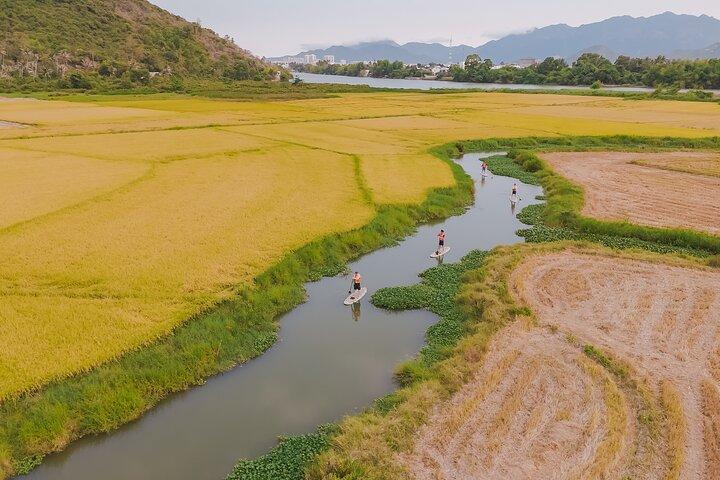 カイ川でパドルボーディングとサンセットウォッチングを立ち上がる