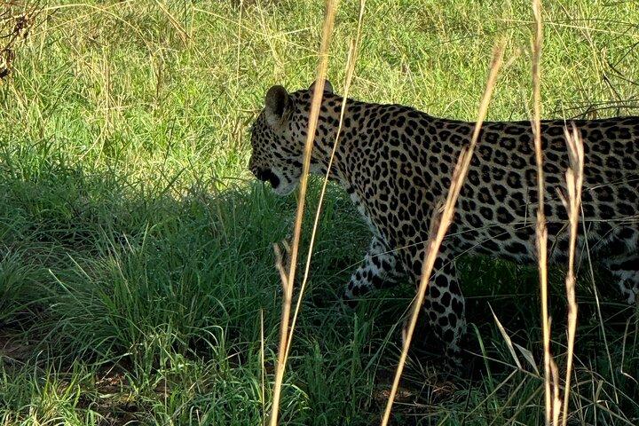 Safari de 3 dias no Parque Nacional Murchison Falls e rastreamento de rinocerontes