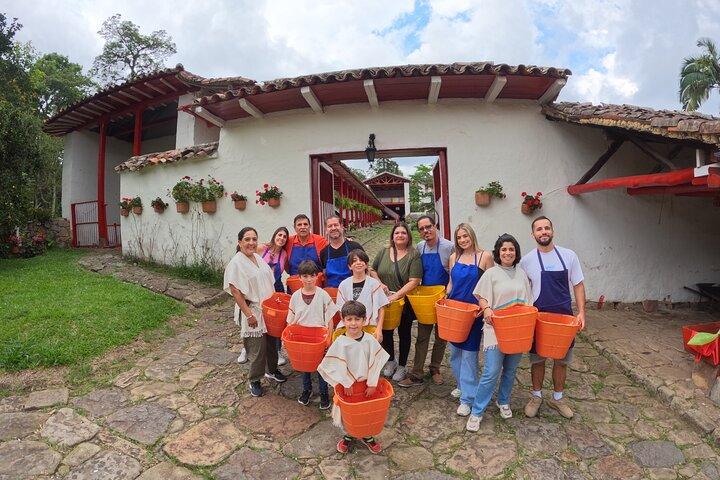 Tour della Coffee Hacienda del "Café con Aroma de Mujer" con pranzo