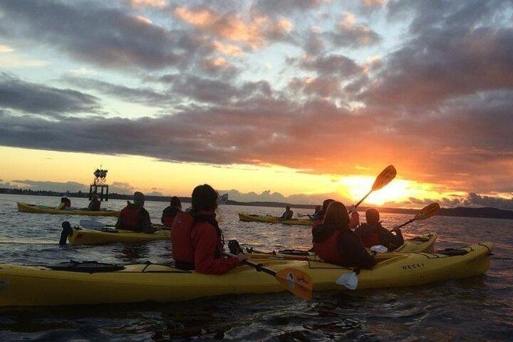 West Seattle Sunset Sea Kajak Tour