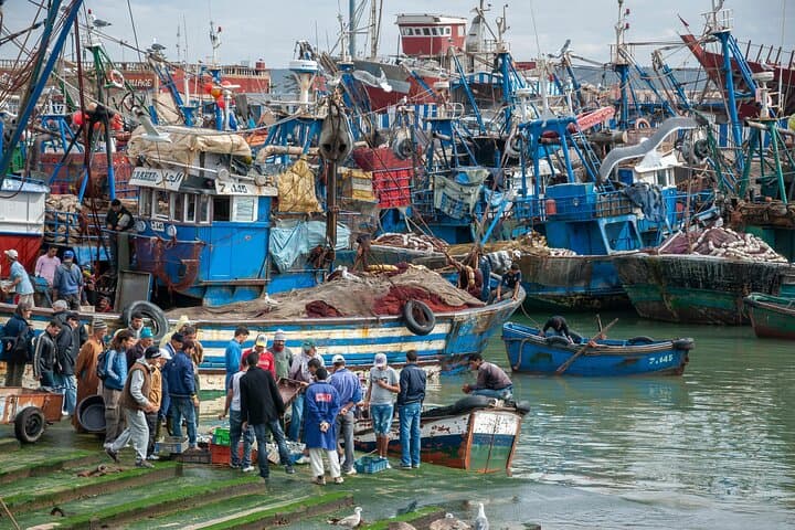 From Marrakech: Essaouira Full-Day Trip