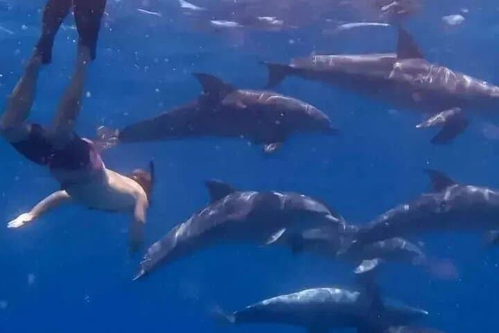 Private Tour to Mnemba Island with Lunch
