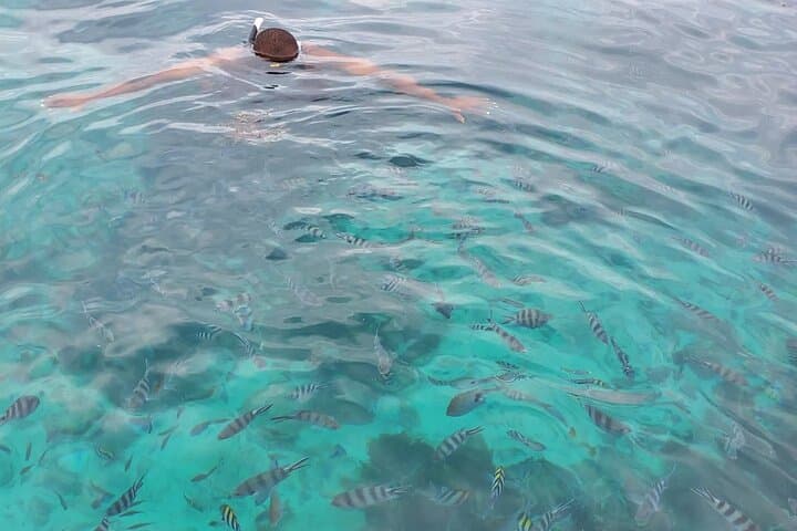 Private Tour to Mnemba Island with Lunch