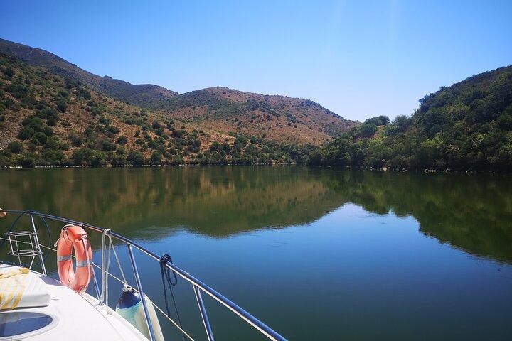 4 uur privéboottocht op de rivier de Douro - Voel de natuur