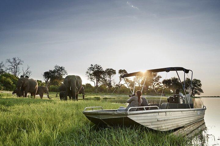 Victoria Falls til Chobe National Park, One Day Wildlife Adventure