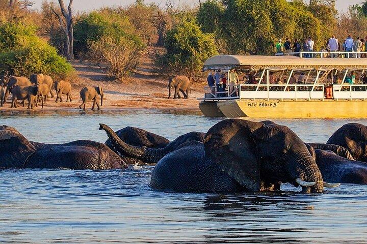 Victoria Falls til Chobe National Park, One Day Wildlife Adventure