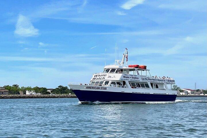 Crucero ecológico para observar ballenas, delfines y aves