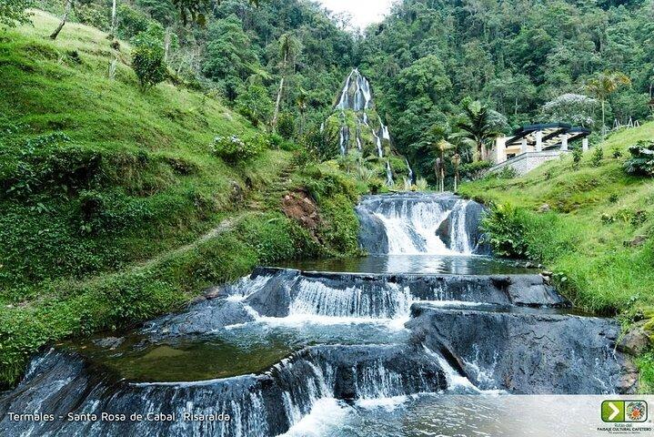 Visite privée d'une plantation de café et de sources thermales à Santa Rosa de Cabal