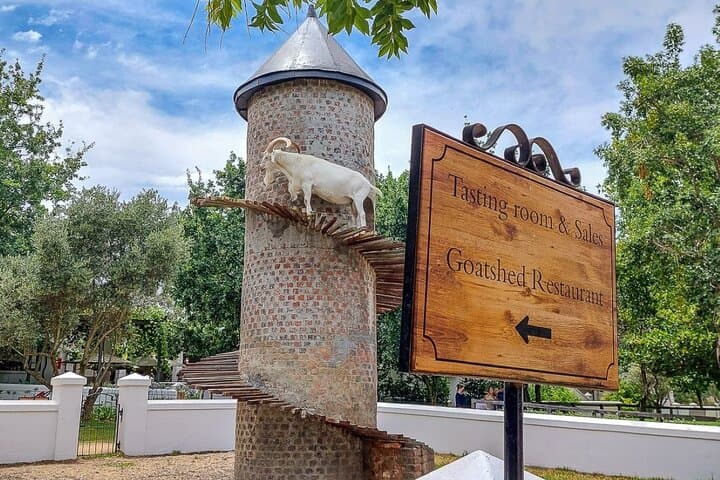 Experience 16 Wine Tasting & 6 Cheese Pairing across 3 Vineyards