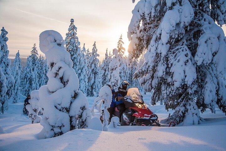 Safari panorámico en moto de nieve en Saariselkä