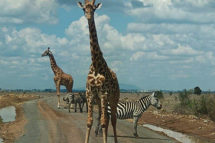 Nairobi National Park, Giraffe Center and Kobe Beads Tour