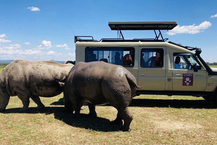2Days Solio Ranch Luxury Safari on 4x4 Land Cruiser Jeep