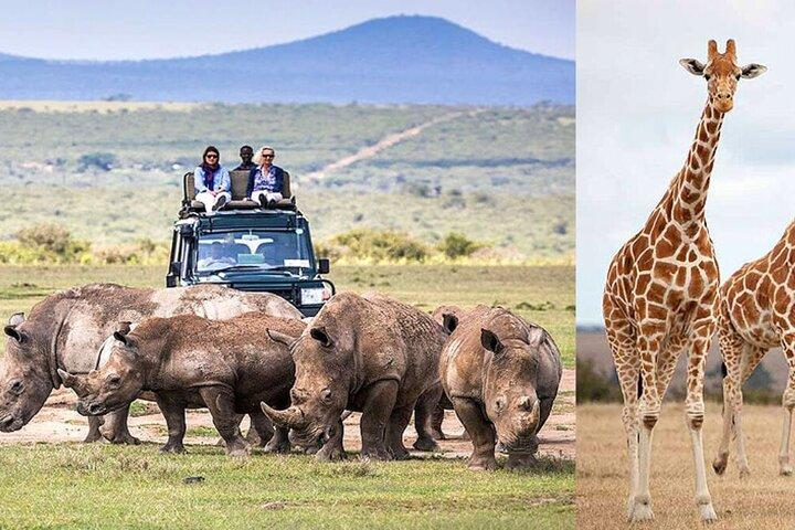 2Days Solio Ranch Luxury Safari on 4x4 Land Cruiser Jeep