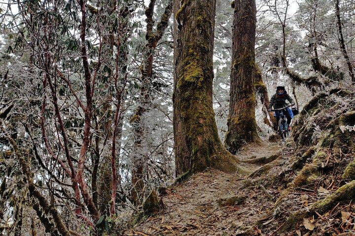 ブータンでの10日間のマウンテンバイク遠征
