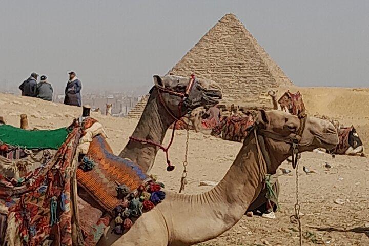 Piramidi di Giza e Grand Egyptian Museum tour di un'intera giornata.