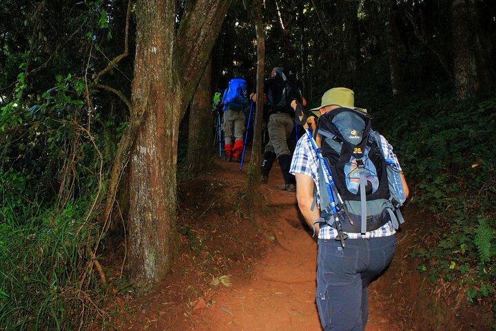 8 dages bjerg Kilimanjaro Lemosho-rute