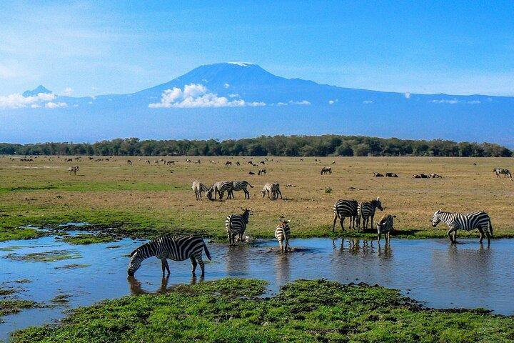 3 días de safari por el Parque Nacional Amboseli y el Monte Kilimanjaro