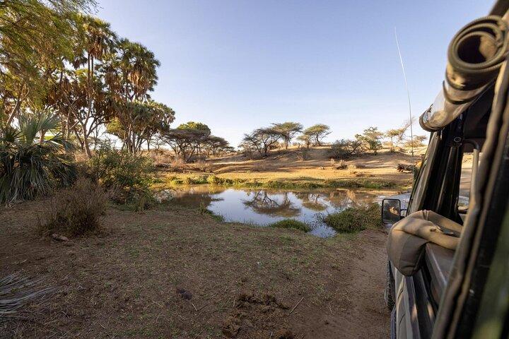 3 días de safari por el Parque Nacional Amboseli y el Monte Kilimanjaro