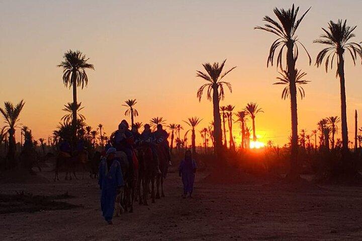 Sunset Camel Ride in the Palmerai of Marrakesh