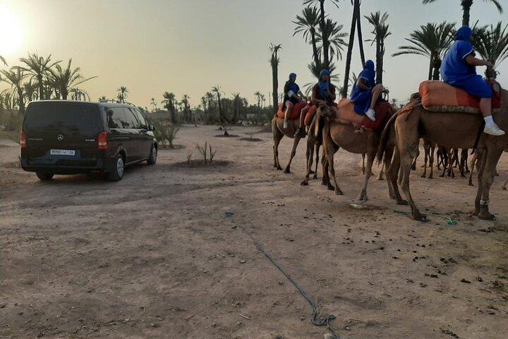 Sunset or Morning Private Camel Ride in Marrakech Palmeraie