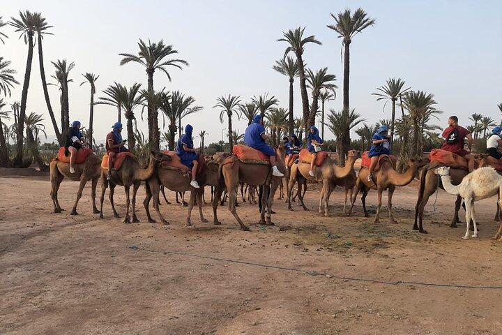 Sunset or Morning Private Camel Ride in Marrakech Palmeraie