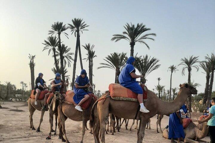 Sunset or Morning Private Camel Ride in Marrakech Palmeraie