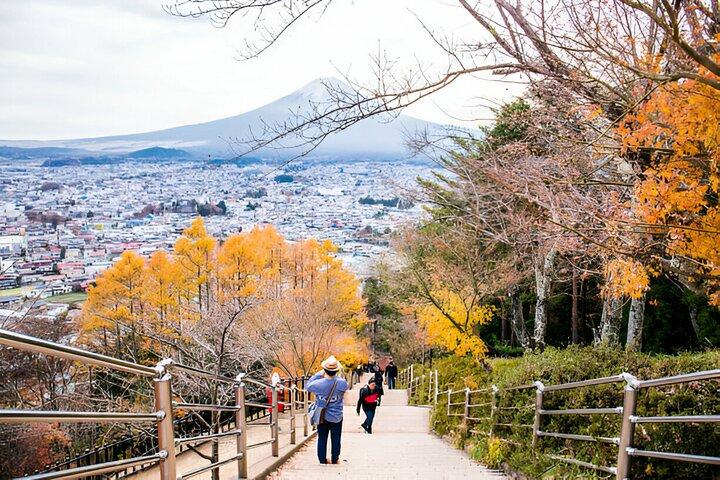 Tour privato di 4 giorni MT Fuji, Kamakura, Hakone, Nikko