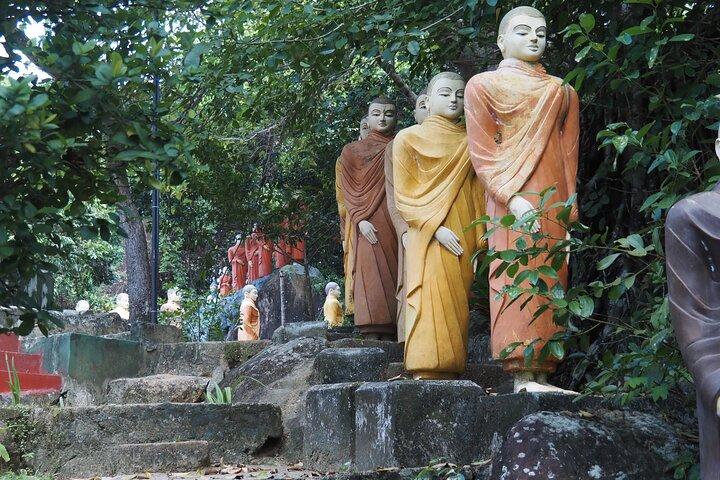 2h Madu River Safari : Mangrove, Zimtinsel & buddhistischer Tempel