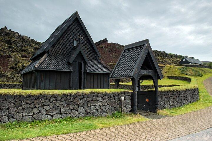 ヴェストマン諸島、パフィン、火山を巡る小グループ日帰りツアー