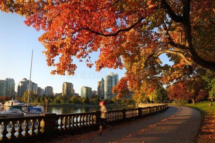 Vancouver: Must-See Attraktioner Walking Tour med en guide