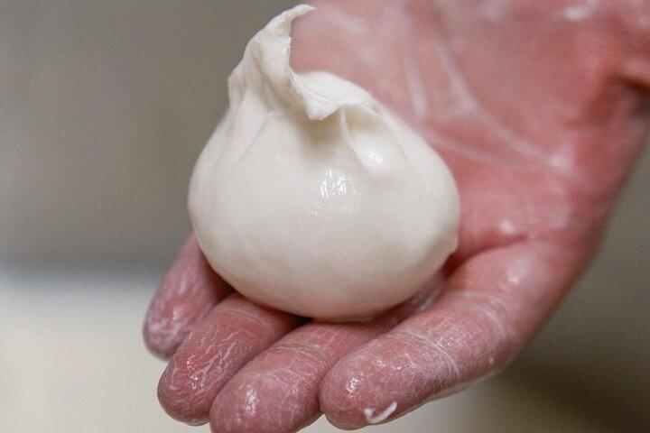 Masseria Seppunisi Tour - experiência de mussarela e burrata