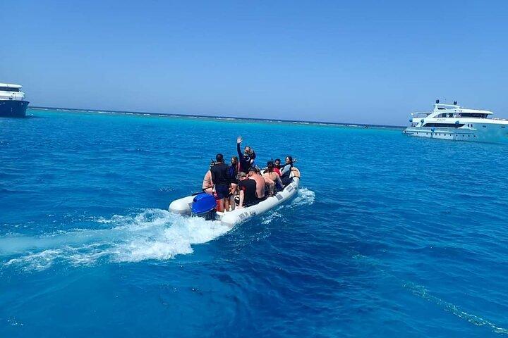 Sataya Dolphin House Snorkeling Trip from Marsa Alam