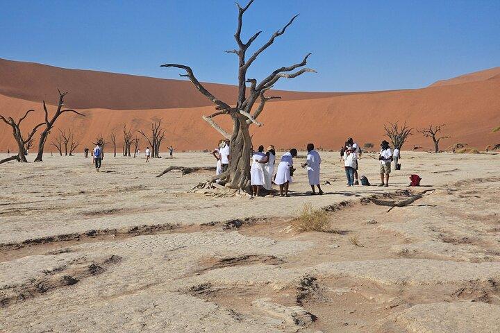 Da Johannesburg: tour della Namibia di 6 giorni