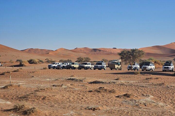 Da Johannesburg: tour della Namibia di 6 giorni