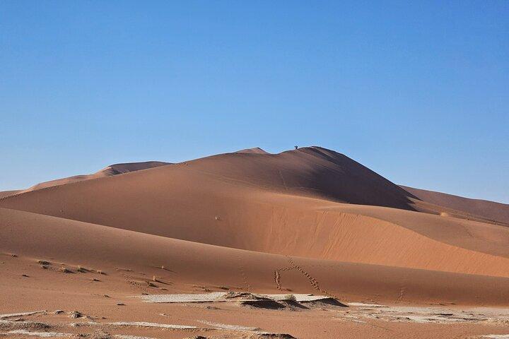 Da Johannesburg: tour della Namibia di 6 giorni