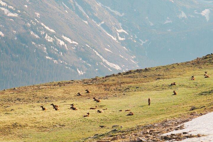 Visite privée en été du parc national des Rocheuses