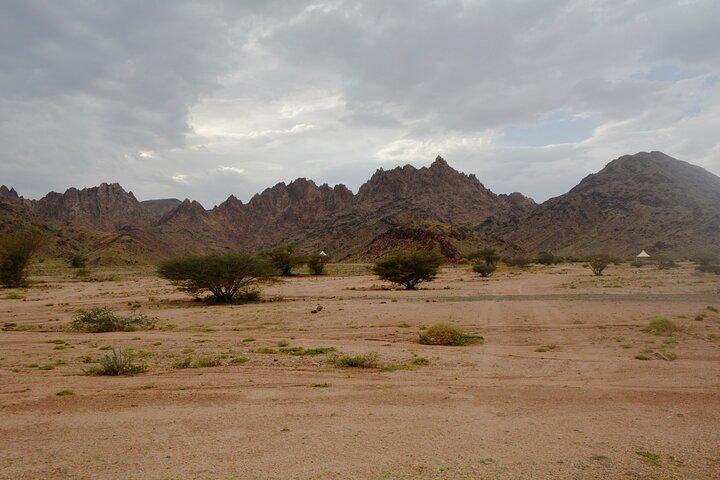 Private Tour durch Medina enthüllt