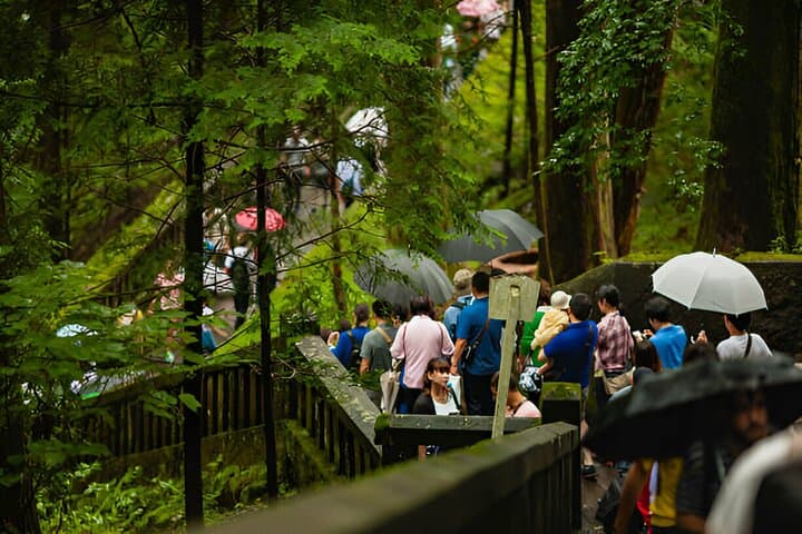 Nikko World Heritage Full Day Trip