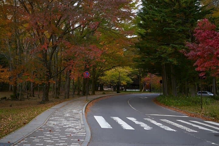 Nikko World Heritage Full Day Trip