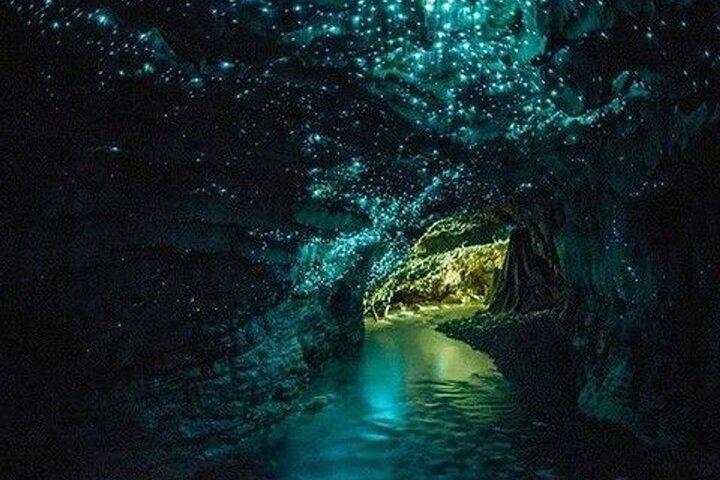 Waitomo Glow Worm Caves Tour vanuit Auckland