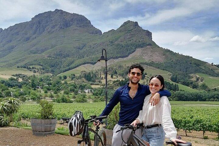 Excursão compartilhada de bicicleta elétrica e vinho em Stellenbosch