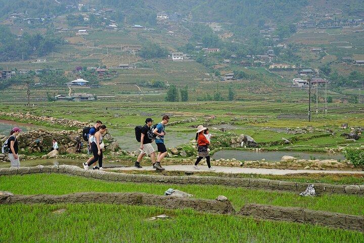 2D1N Trekking 1 Kreis durch das Dorf in Sapa