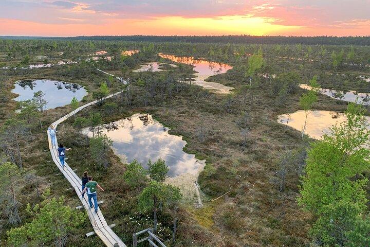 Sunset at Kemeri National Park